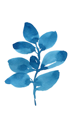 fleur-bleu